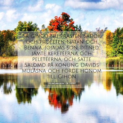 1 Kungaboken 1:38 Bibelvers Förklarad
