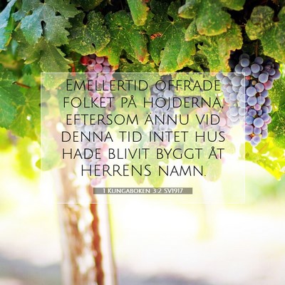 1 Kungaboken 3:2 Bibelvers Förklarad