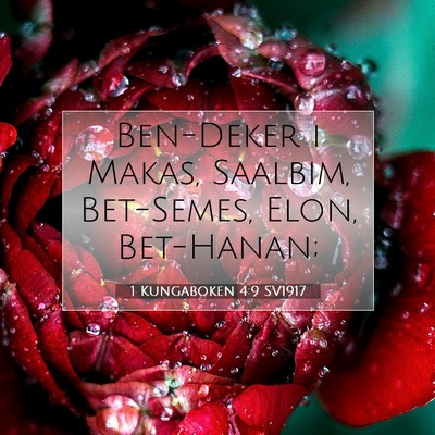 1 Kungaboken 4:9 Bibelvers Förklarad