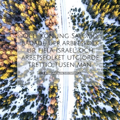 1 Kungaboken 5:13 SV1917 Bild av bibelvers