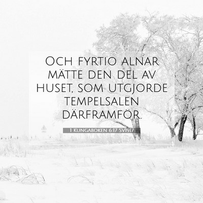 1 Kungaboken 6:17 Bibelvers Förklarad