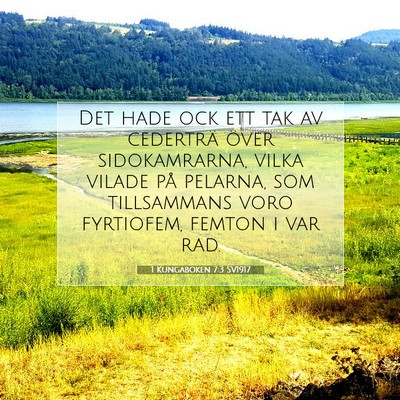1 Kungaboken 7:3 Bibelvers Förklarad