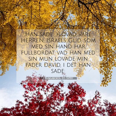 1 Kungaboken 8:15 Bibelvers Förklarad