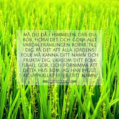 1 Kungaboken 8:43 Bibelvers Förklarad