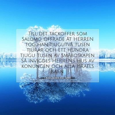 1 Kungaboken 8:63 Bibelvers Förklarad