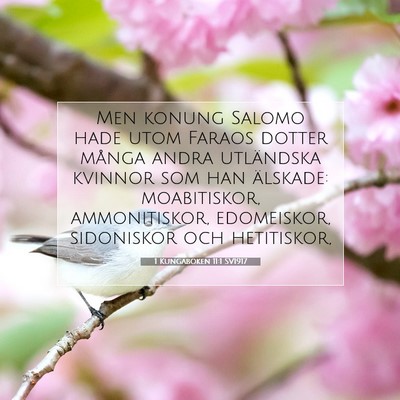 1 Kungaboken 11:1 SV1917 Bild av bibelvers
