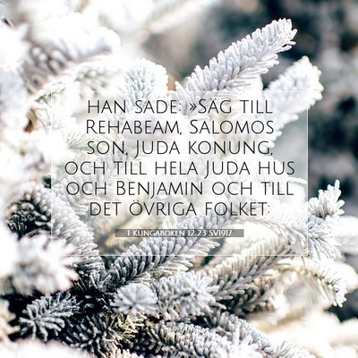 1 Kungaboken 12:23 Bibelvers Förklarad