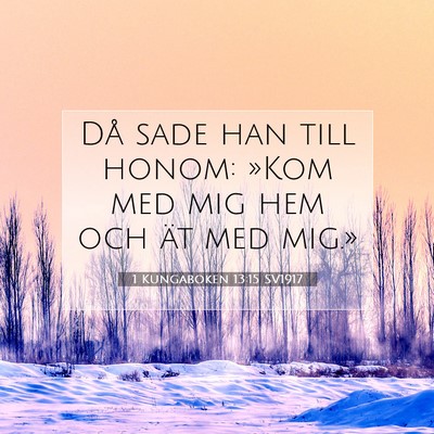 1 Kungaboken 13:15 Bibelvers Förklarad