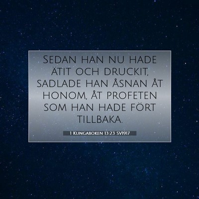 1 Kungaboken 13:23 Bibelvers Förklarad
