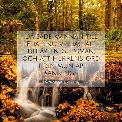 1 Kungaboken 17:24 Bibelvers Förklarad