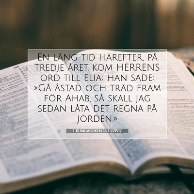 1 Kungaboken 18:1 SV1917 Bild av bibelvers