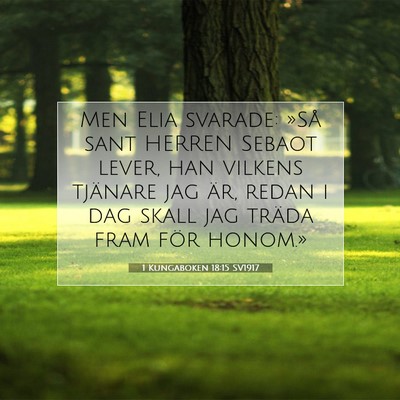 1 Kungaboken 18:15 SV1917 Bild av bibelvers