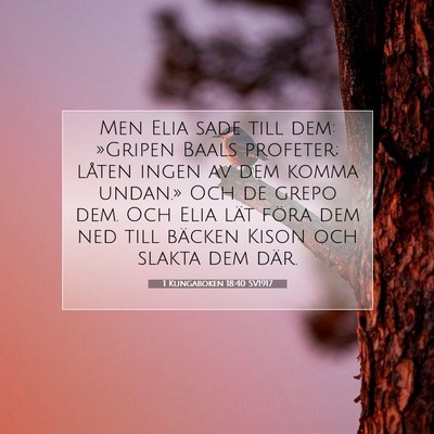 1 Kungaboken 18:40 Bibelvers Förklarad