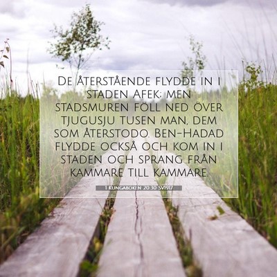 1 Kungaboken 20:30 SV1917 Bild av bibelvers