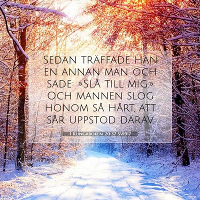 1 Kungaboken 20:37 Bibelvers Förklarad