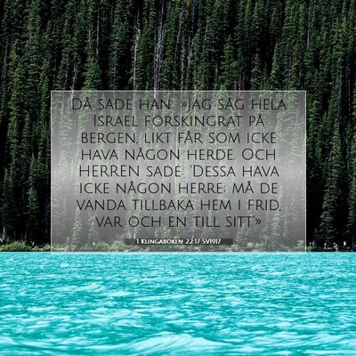 1 Kungaboken 22:17 Bibelvers Förklarad