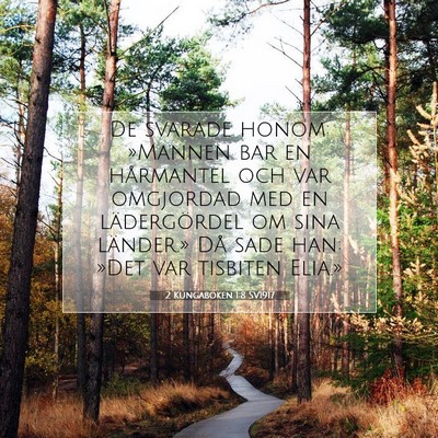 2 Kungaboken 1:8 SV1917 Bild av bibelvers
