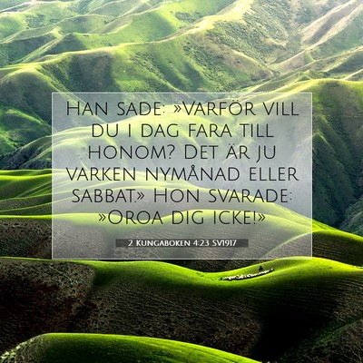 2 Kungaboken 4:23 SV1917 Bild av bibelvers