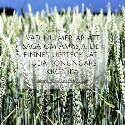 2 Kungaboken 14:18 Bibelvers Förklarad
