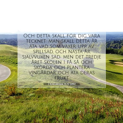 2 Kungaboken 19:29 Bibelvers Förklarad