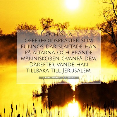 2 Kungaboken 23:20 SV1917 Bild av bibelvers