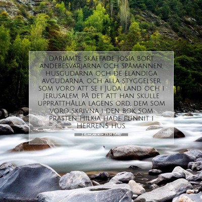 2 Kungaboken 23:24 SV1917 Bild av bibelvers