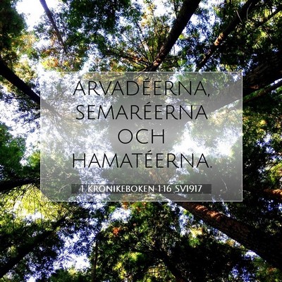 1 Krönikeboken 1:16 Bibelvers Förklarad