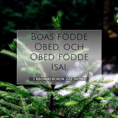 1 Krönikeboken 2:12 Bibelvers Förklarad