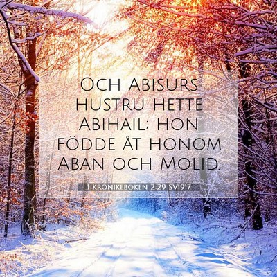 1 Krönikeboken 2:29 Bibelvers Förklarad