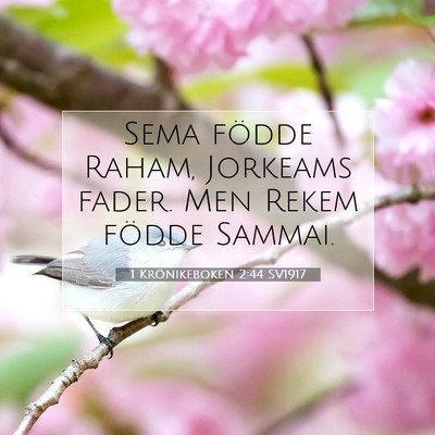 1 Krönikeboken 2:44 Bibelvers Förklarad