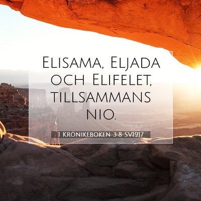 1 Krönikeboken 3:8 Bibelvers Förklarad