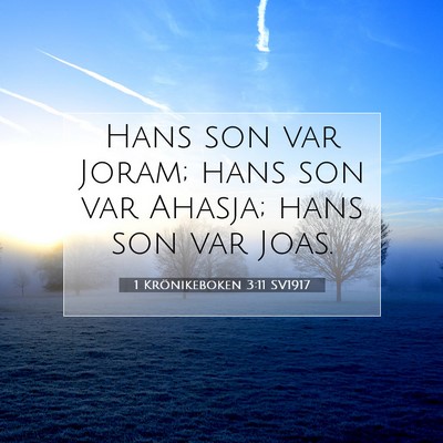 1 Krönikeboken 3:11 Bibelvers Förklarad