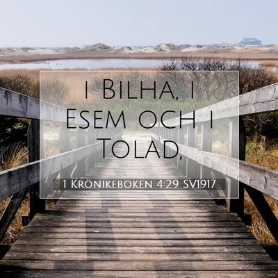 1 Krönikeboken 4:29 Bibelvers Förklarad