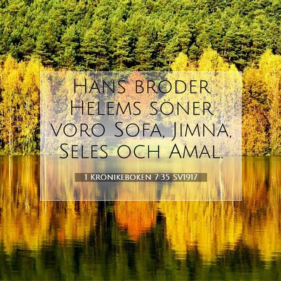 1 Krönikeboken 7:35 Bibelvers Förklarad