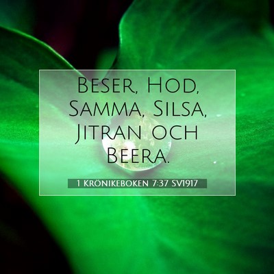 1 Krönikeboken 7:37 Bibelvers Förklarad