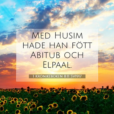 1 Krönikeboken 8:11 Bibelvers Förklarad