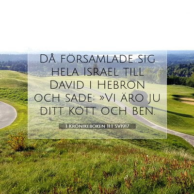 1 Krönikeboken 11:1 SV1917 Bild av bibelvers