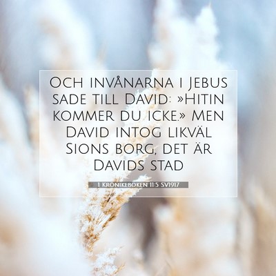 1 Krönikeboken 11:5 Bibelvers Förklarad