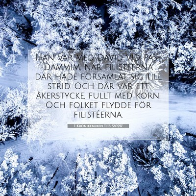 1 Krönikeboken 11:13 SV1917 Bild av bibelvers