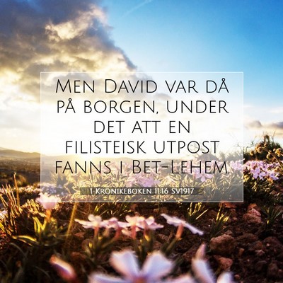1 Krönikeboken 11:16 Bibelvers Förklarad