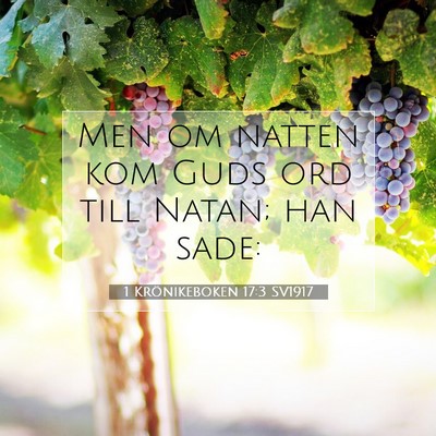 1 Krönikeboken 17:3 Bibelvers Förklarad