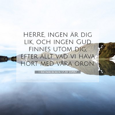 1 Krönikeboken 17:20 Bibelvers Förklarad