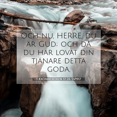 1 Krönikeboken 17:26 Bibelvers Förklarad