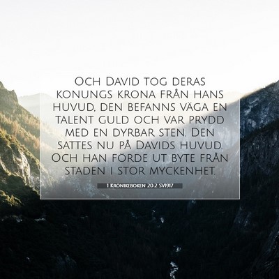 1 Krönikeboken 20:2 SV1917 Bild av bibelvers