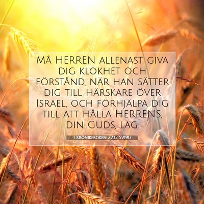 1 Krönikeboken 22:12 SV1917 Bild av bibelvers