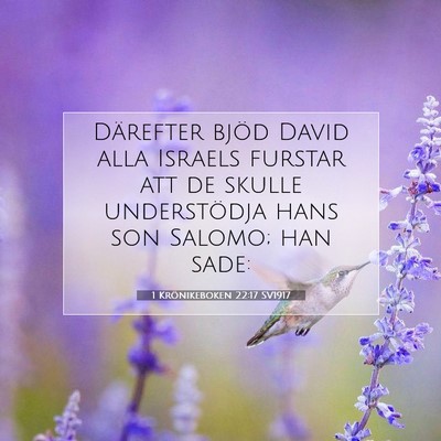 1 Krönikeboken 22:17 Bibelvers Förklarad