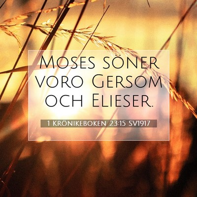 1 Krönikeboken 23:15 Bibelvers Förklarad