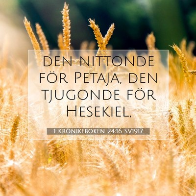 1 Krönikeboken 24:16 SV1917 Bild av bibelvers