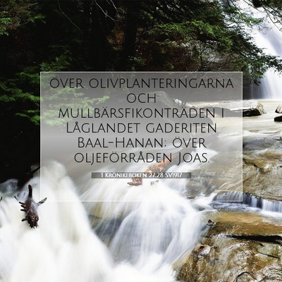 1 Krönikeboken 27:28 Bibelvers Förklarad