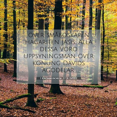 1 Krönikeboken 27:31 Bibelvers Förklarad